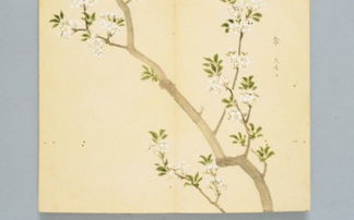 詩經(jīng)里關(guān)于糧食的詩句