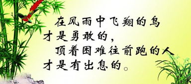 關(guān)于奮斗和幸福的詩句