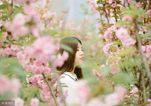 關(guān)于春天的經(jīng)典詩(shī)句