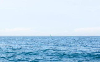 關(guān)于大海心情的現(xiàn)代詩句