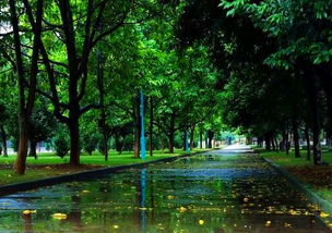 關于秋雨悲傷詩句