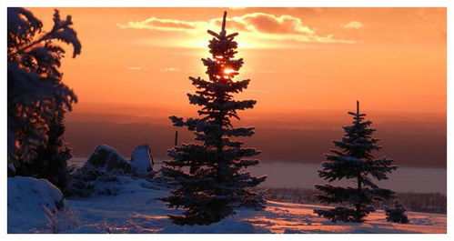 詩句,感慨,春節(jié)