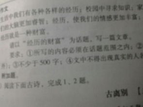 關(guān)于經(jīng)歷是財富的詩句