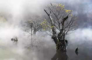 古詩背串后很污的詩句