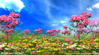 花開,詩句,旺盛