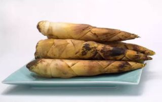 關(guān)于雨后春筍的詩句