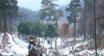 請(qǐng)寫出兩句寫泉的古詩(shī)句