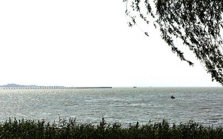 關(guān)于稻香田園的詩句