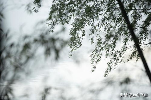 古詩(shī),詩(shī)句