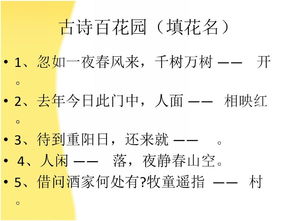 關(guān)于詩句競賽的內(nèi)容