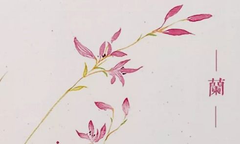 贊美老師的古詩(shī)句有哪些,贊美蘭的古詩(shī)有哪些,贊美父親的古詩(shī)句