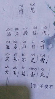 古詩中贊美花的品德的詩句