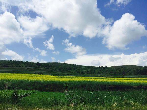 草原風(fēng)景贊美詩句古詩