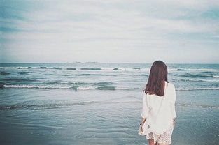 關(guān)于情感過客的詩(shī)句