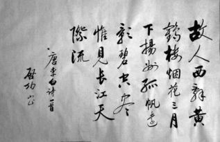 關(guān)于春天詩句及意思