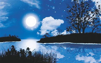 關(guān)于月亮鳥(niǎo)山的詩(shī)句古詩(shī)大全