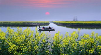 帶燕居古詩(shī)句