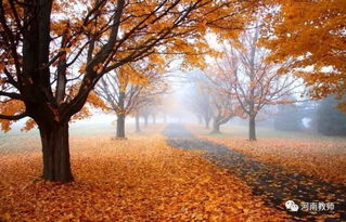 關(guān)于身邊的事物的詩(shī)句