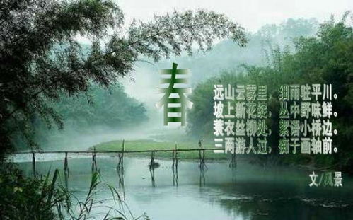關(guān)于春風(fēng)景的詩句古詩詞