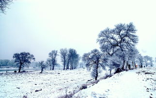 描寫雪景的古詩句有哪些,關(guān)于描寫雪景的古詩句,描寫冬天雪景的古詩句