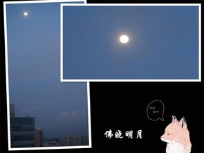 關(guān)于中秋觀月的詩句