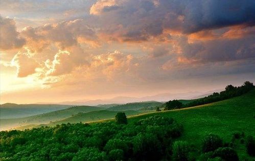 詩(shī)句,詩(shī)中,夏天,有哪些