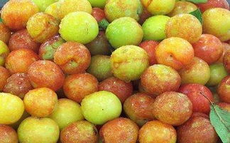 李子,詩句,包含