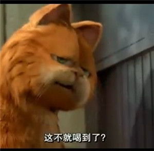 關(guān)于失敗后失望的詩句