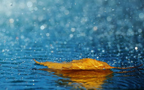 關(guān)于雨滋潤莊稼的詩句