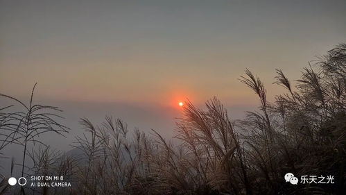 愛情和婚姻古詩句