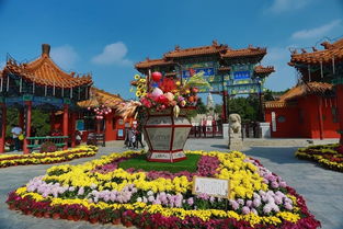 關于菊花的不屈不撓的詩句