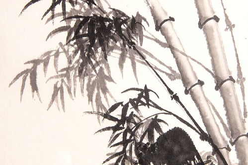 形容竹的古詩(shī)句