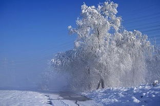 關(guān)于冬天的詩(shī)句30首