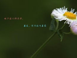 關(guān)于保護(hù)小花的詩句