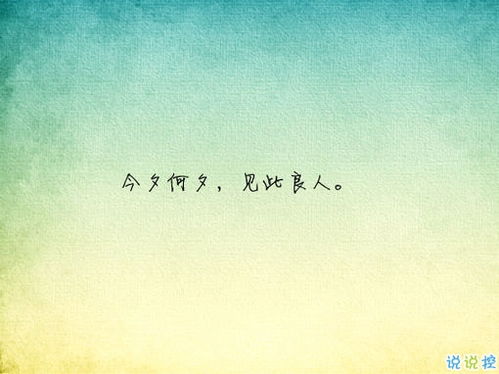 比較優(yōu)雅有意境的古詩句