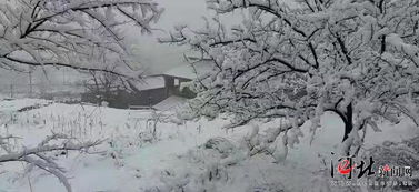 關(guān)于冬季去游玩的詩句