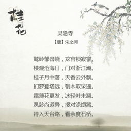 一首,詩(shī)句,自編