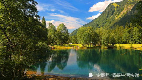 關(guān)于有付出才有回報(bào)的古詩(shī)句