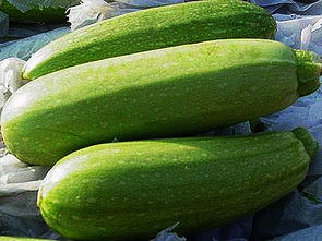 關(guān)于西葫蘆的詩句