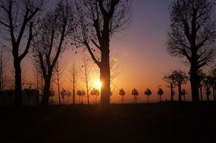 詩(shī)句,落日,校園