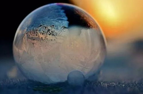 有關(guān)于樹立志向的詩句