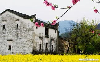 關(guān)于鄉(xiāng)村田園生活的古詩(shī)句