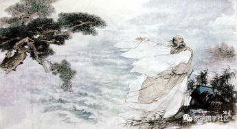 關(guān)于菊花的詩句屈原