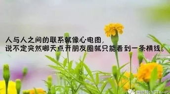 詩句,羨慕,努力