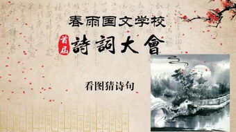 詩歌大會關(guān)于雨的詩句