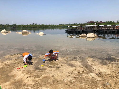 與看湖有關(guān)的古詩(shī)句