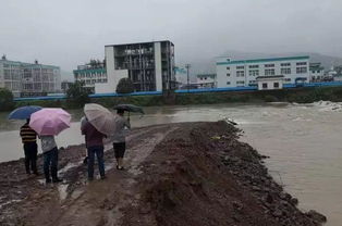 寫臺風(fēng)的古詩句