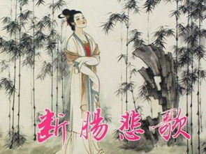 朱淑真寫的關(guān)于春節(jié)的詩(shī)句