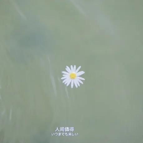 堅(jiān)定的古詩句