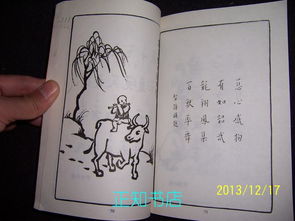 詩(shī)句,文中,時(shí)間